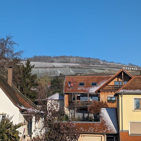Apartament Le Cosy Marlenheim Zewnętrze zdjęcie