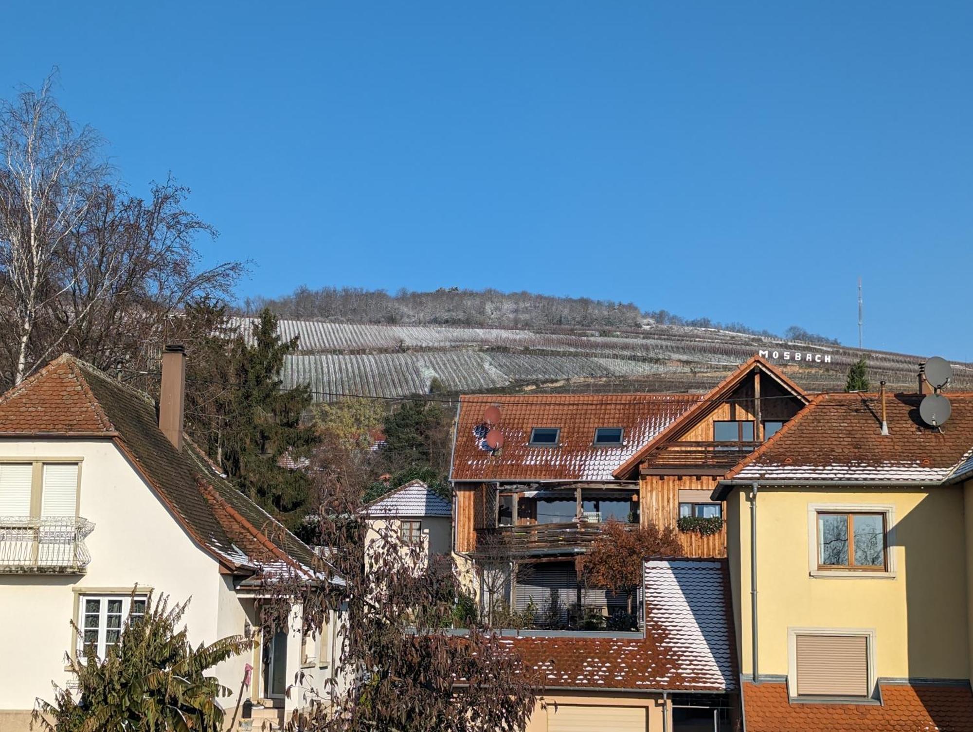 Apartament Le Cosy Marlenheim Zewnętrze zdjęcie